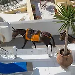 Willa Fanari Vista *